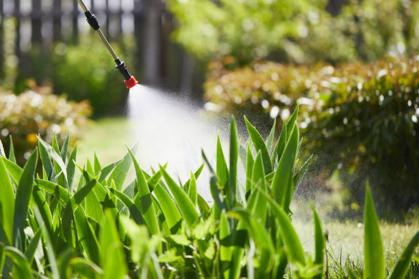 24/7 Emergency Mosquito Control experts in Buffalo, SC